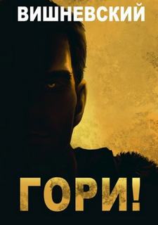 Холодное пламя: Гори! — Вишневский Сергей