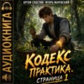 Кодекс Практика. Страница 1 — Маревский Игорь, Сластин Артем
