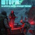 Шторм. За бурей не всегда приходит рассвет — Малунов Николай
