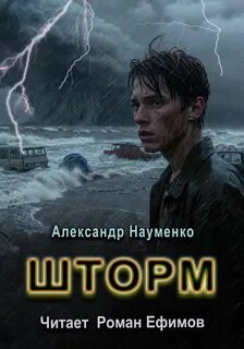 Шторм — Науменко Александр