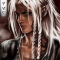 Практик (том 1) — Рейдер